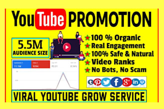 do organic youtube video and channel promotion with social media
