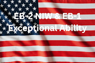 draft professional petition statement for eb2 niw and eb1