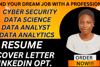 craft you a professional cybersecurity resume, data analyst resume