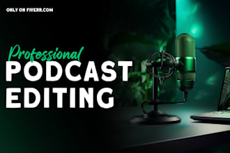 professionally edit, mix and master your podcast