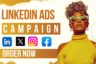 create and manage linkedin ads campaign, and social media marketing manager
