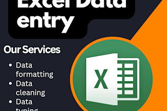do excel sheet data entry