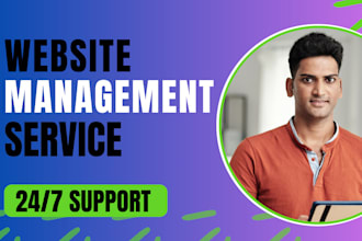 do wordpress website maintenance manage website help update fix query monitor