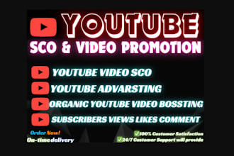 do premium youtube playlist video promotion to gain views and subscribers