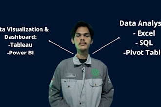 be your data analyst and data visualization