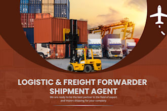 find logistic freight forwarder agent by air, sea train, ddp