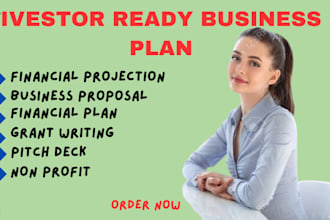 prepare a complete investor ready business plan with a financial plan