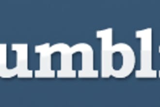 customize a Tumblr theme