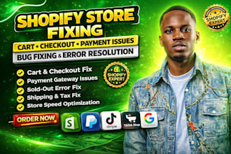 shopify bug fix and payment issue fast, fix shopify cart checkout sold out