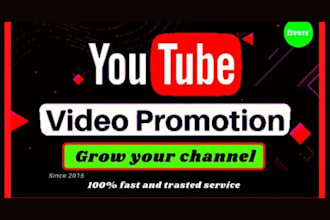 do organic youtube video promotion and channel growth