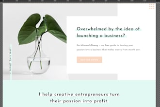 design, redesigned, revamped showit, wix, shopify, wordpress, website template