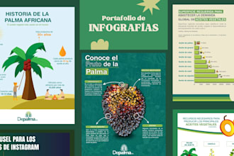 design professional custom infographics for any business