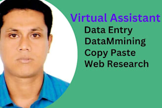 be your virtual assistant for data entry, data mining, copy paste, web research