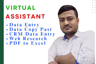 be your virtual assistant for data entry, copy paste and web research