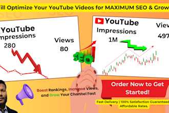 provide youtube video SEO service for top 1st ranking by vidiq, tubebuddy
