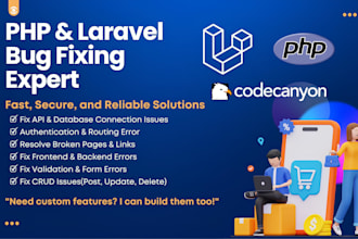 do bug fixing for any PHP and laravel scripts