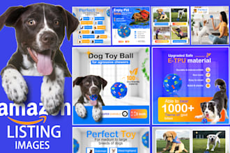design amazon product infographic, listing image, lifestyle, and a plus content