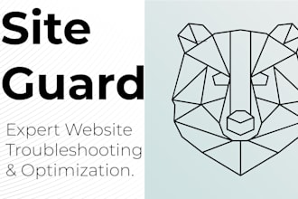 fix wordpress issues, bugs, and errors to optimize your website performance