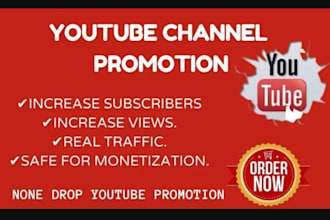 boost youtube channel, playlist, subs, revenue with promotion and monetization