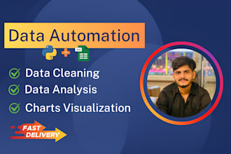 automate data cleaning and analysis with python and excel macros