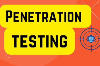 do penetration testing or security testing  and vulnerability assessment