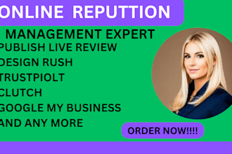quick remove negative links,online reputation,mugshot,ORM,reverse SEO send dmca
