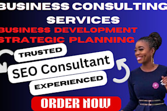 be your mentor teacher coach strategy expert for all business plan