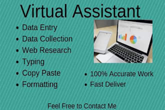 be your virtual assistant for data entry copy paste and file conversion