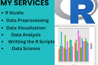 do r and python programming, data cleaning and visualization