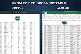convert PDF, image, number, into excel