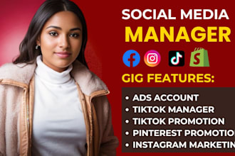 shopify tiktok manager pinterest promotion facebook ad instagram account