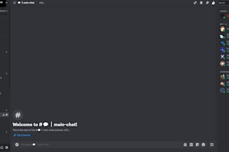 setup a discord server for you fast and with small budget
