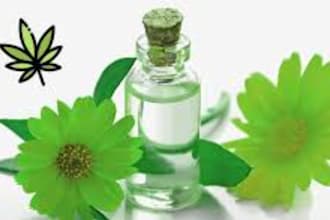 conduct dynamic cbd marketing for your website