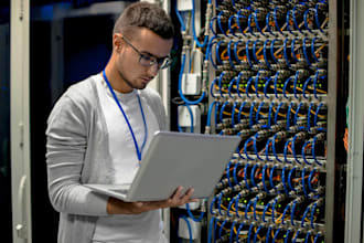 provide expert network support and configuration routers, switches and wifi