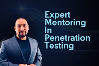 provide expert mentoring in penetration testing