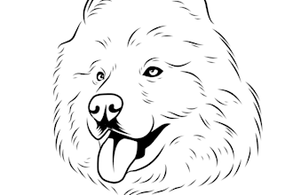 draw line art from photo in a couple hour