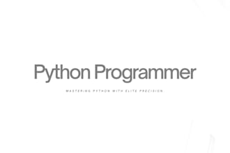 be your python programmer