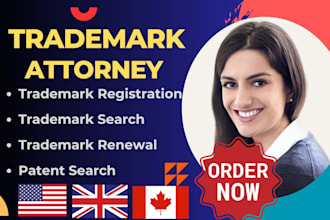 perform trademark search and trademark registration USA