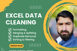 excel data cleaning and formatting, merging, splitting
