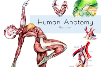paint medical, anatomical, surgical illustrations in watercolor