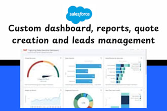 create custom salesforce dashboard, reports, quote creation and leads management
