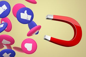 setup facebook ads campaign for leads and sales