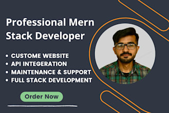 be mern stack developer, reactjs, nodejs, express, mongodb, dynamic websites app