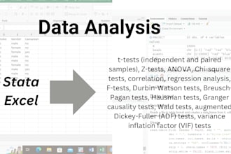 do data analysis using stata and excel