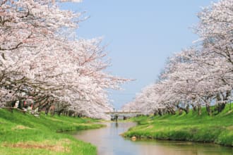 translate between english and japanese