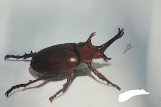 draw a realistic insect or animal