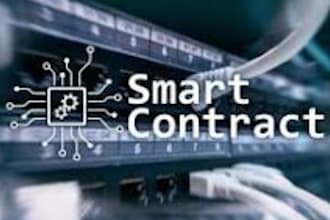 build ton smart contract ton nft dapp ton token meme coin ton blockchain web3