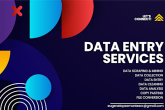 do data entry tasks, data analysis, data cleaning, process automation, design