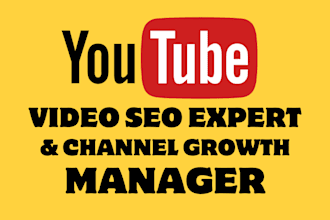 do best youtube video SEO expert optimization and channel growth manager