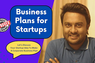 write investor ready business plans for startups, business plan writer